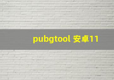 pubgtool 安卓11